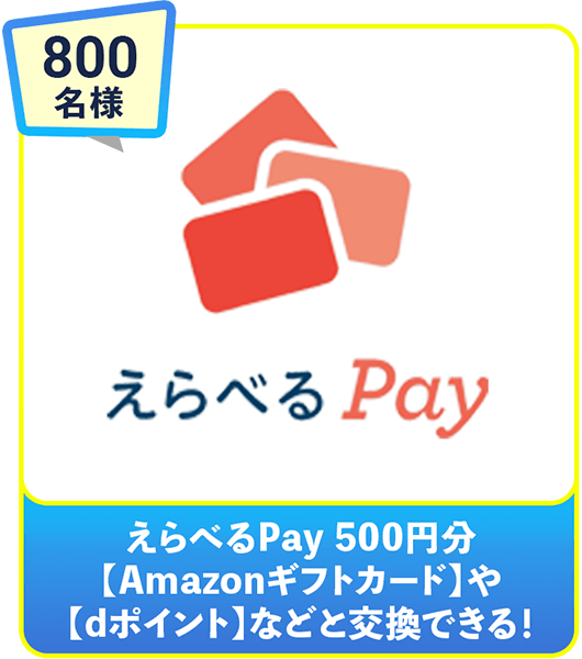 800名様 えらべるPay 500円分