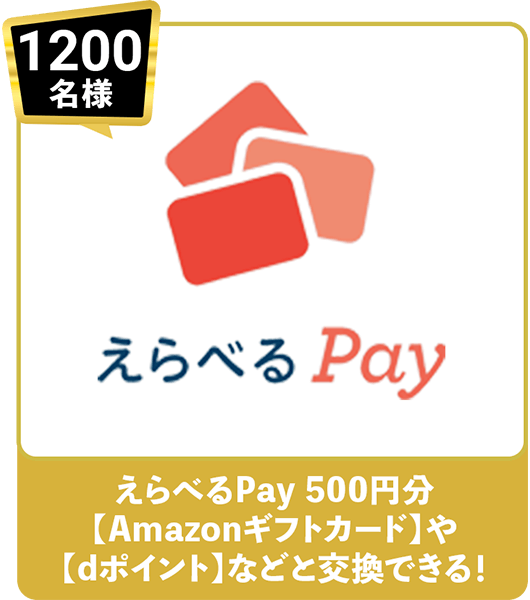 1200名様 えらべるPay 500円分