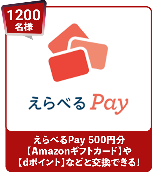 1204名様 えらべるPay 500円分